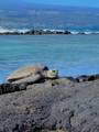  Pulelehua Rd - Photo 5
