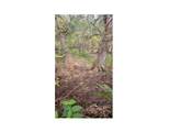  Pulelehua Rd - Photo 1