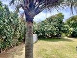 95-5587-A Mamalahoa Highway - Photo 23