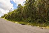  Hibiscus St - Photo 4