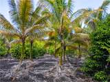  Kamaili Rd - Photo 8