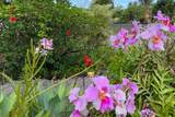 12-7036 Kaiwa St - Photo 22