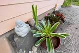 12-7036 Kaiwa St - Photo 24