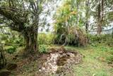137 Kuakolu Pl - Photo 22