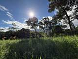  Kahiliholo Rd - Photo 12