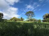  Kahiliholo Rd - Photo 13