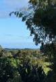  Kahiliholo Rd - Photo 16