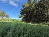  Kahiliholo Rd - Photo 6