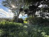  Kahiliholo Rd - Photo 7