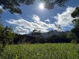  Kahiliholo Rd - Photo 10