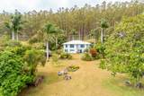 46-4218 Honokaa  Waipio Rd - Photo 24