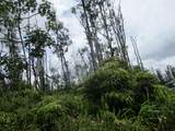  Bamboo Dr - Photo 1