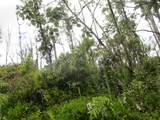  Bamboo Dr - Photo 2