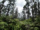  Road 9 (Koloa Maoli) - Photo 1