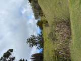  Palikekua St - Photo 14