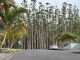  Palikekua St - Photo 16