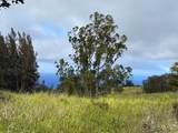  Palikekua St - Photo 5