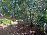 4854 Aliali Rd - Photo 6