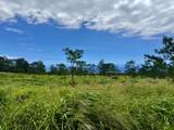  Meyer Rd - Photo 6