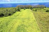 31-480 Old Mamalahoa Highway - Photo 3