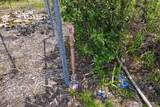  30TH AVE - Photo 6