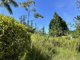  Aloha Dr - Photo 24