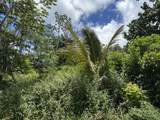  Holiday Rd - Photo 6