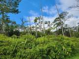  Maui Rd - Photo 3