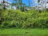  Maui Rd - Photo 7
