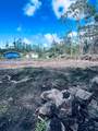  Plumeria Rd - Photo 6