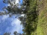  Wailele St - Photo 1