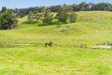 47-5254 Waikoekoe Ln - Photo 19