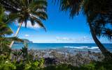 5300 Ka Haku Rd - Photo 22
