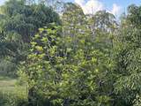 28-646 Kaupakuea Homestead Rd - Photo 22