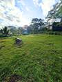 14-3276 Pualaa Rd - Photo 13