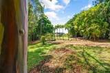 4890 Kahiliholo Rd - Photo 8