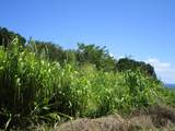 28-110 Kulaimano Homestead Road - Photo 12