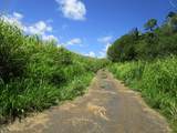 28-110 Kulaimano Homestead Road - Photo 13