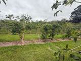 96-1970 Kumupea Road - Photo 15