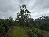 96-1970 Kumupea Road - Photo 17