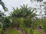 96-1970 Kumupea Road - Photo 21