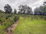 96-1970 Kumupea Road - Photo 4