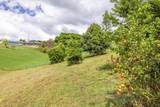 4591 Iwi Rd - Photo 29