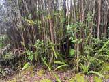 11-2038 Makoa Rd - Photo 3