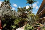 5061 Lawai Rd - Photo 24