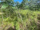 14-3479 Mauna Kea Rd - Photo 13