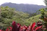 6631-A Kipapa Rd - Photo 9