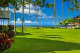 2253 Poipu Rd - Photo 2