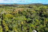  Papaya Farms Rd - Photo 2