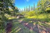  Papaya Farms Rd - Photo 14